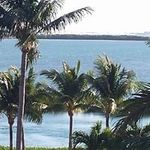 Profile Picture of Amy Alverson Barton (@amybarton8248) on Instagram