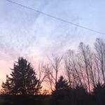 Profile Picture of Hannah Frazer (@hannah_frazer123) on Instagram