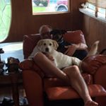 Profile Picture of Jon McCarty (@mccarty.jon) on Instagram