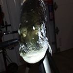 Profile Picture of Mark Squibb (@squibbmark) on Instagram