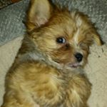 Profile Picture of Brian Pettitt (@brimatpet) on Instagram