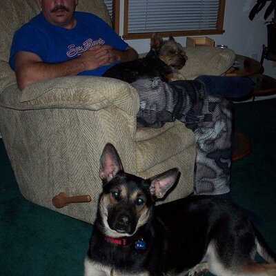 Profile Picture of Tony Lucarelli (@lukernorth) on Twitter