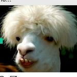 Profile Picture of gordon taylor⚠️ (@roroh.ofc) on Instagram