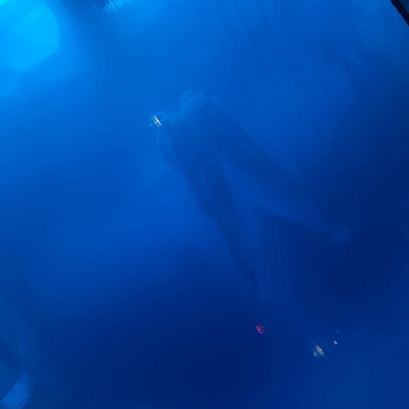 Profile Picture of Wyatt Jones (@joneswm06) on Poshmark