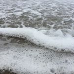 Profile Picture of Jean Sierakowski (@jellybeans.pictures) on Instagram