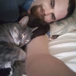 Profile Picture of Alex Hoover (@alex.hoover.33) on Instagram