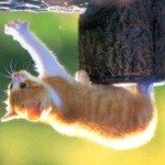 Profile Picture of Salley (@dorene481mike) on Instagram