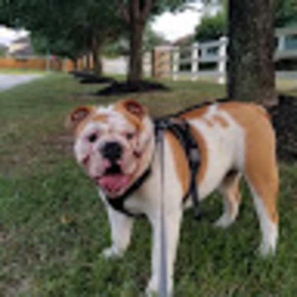 Profile Picture of Leah Byrne (@leahpbyrne8) on Poshmark