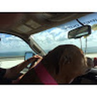 Profile Picture of Greg Carden (@greg-carden-3) on Quora