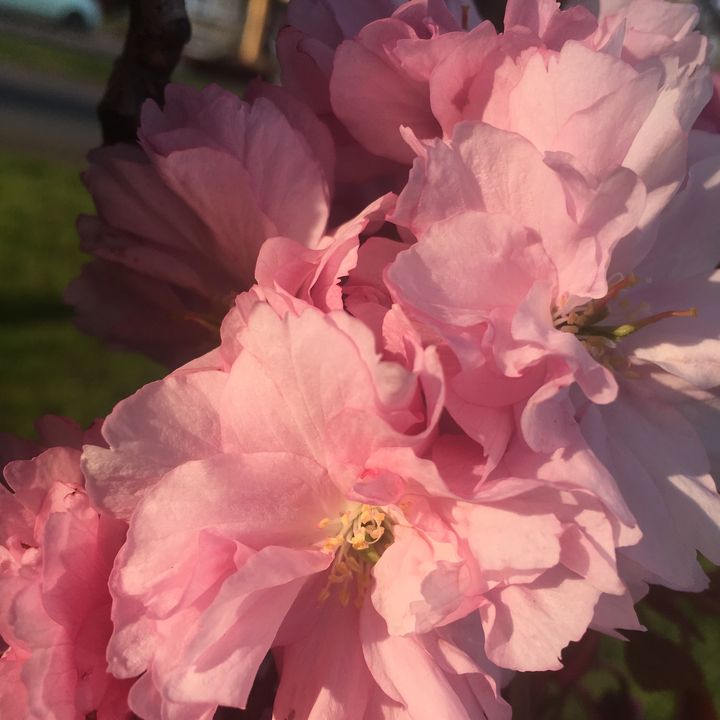 Profile Picture of Erin Roberts (@erin.robertz) on Tiktok