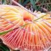 Profile Picture of Nigel Prior (@napprp) on Pinterest