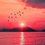 Profile Picture of Riley Escobar (@caleb.johnston13) on Instagram