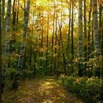 Profile Picture of Howell (@howellharold77ke) on Instagram