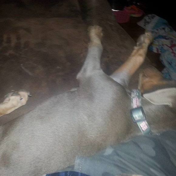 Profile Picture of Richard Pearson (@rpear) on Poshmark