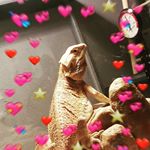 Profile Picture of Joy Coates (@xox.joy) on Instagram