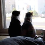 Profile Picture of John Kozarek (@johnk1254) on Instagram