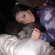 Patrice Rotondo Murphy - Pinterest Profile Picture of Patrice Rotondo Murphy (@patricerot) on Pinterest