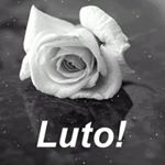 Profile Picture of Carol Reis (@carolreisconsultora) on Instagram