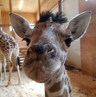 Profile Picture of Dawn Butcher (@dawn.butcher.3344) on Facebook