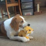 Profile Picture of david granger (@granger6178) on Instagram