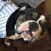 Profile Picture of Dawn Decker (@dawn.decker.54) on Facebook
