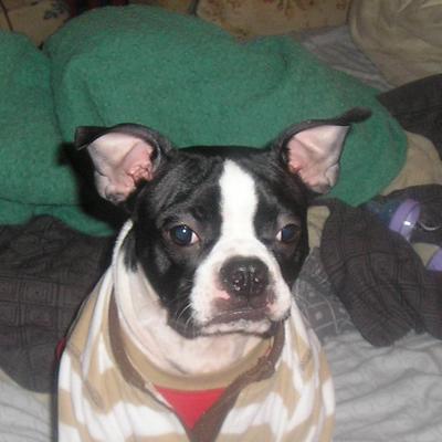 Profile Picture of Jasonhartranft (@jasonhartranft) on Twitter