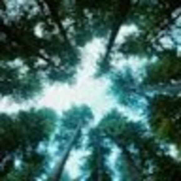 Profile Picture of Talanna Mckim (@talannamckim) on Poshmark