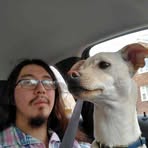 Profile Picture of Everett Grimes (@Everett-Grimes) on Facebook