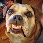 Profile Picture of Brian Prosser (@brian.prosser.37) on Instagram