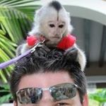 Profile Picture of Jeff Larcher (@feffoulrc) on Instagram