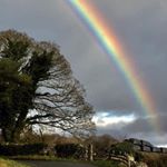 Profile Picture of Tommy McLean Jnr (@lovechild_007) on Instagram