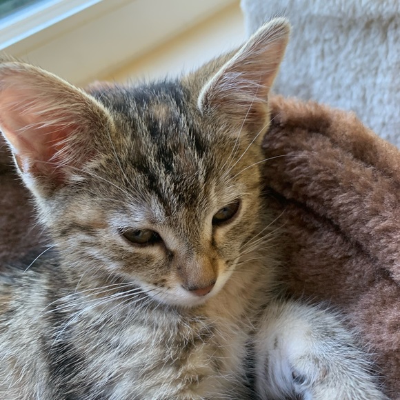 Luka Luka - Poshmark Profile Picture of Luka Luka (@l0914) on Poshmark