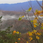 Profile Picture of Jermaine Foster (@jermainefoster6711) on Youtube