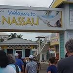 Veronica Haasl - Instagram Profile Picture of Veronica Haasl (@veronicahaasl) on Instagram