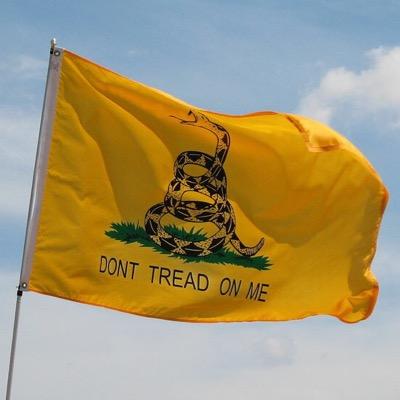 Profile Picture of William Sessions (@WilliamSessio11) on Twitter