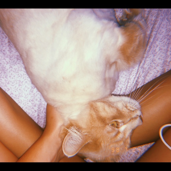 Profile Picture of Alexis Colten (@alexisc888) on Poshmark