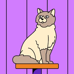 Profile Picture of Jesse Kruse (@jesse.kruse5) on Tiktok