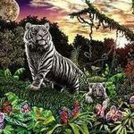 Profile Picture of Zaw Zaw Htoo (@zawzawhtoo) on Instagram