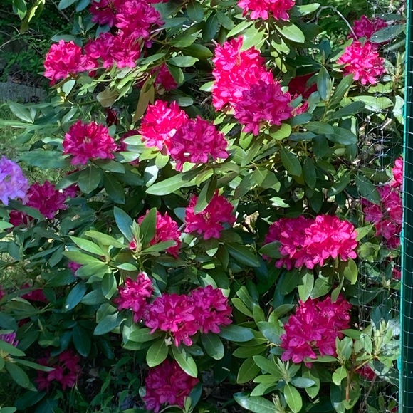 Profile Picture of Lewes Moore (@lewesmoore) on Poshmark