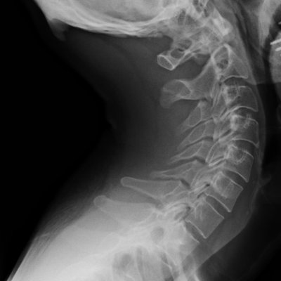 Profile Picture of Pierre (@peterlafreniere) on Twitter