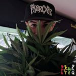 Profile Picture of Robby Adams (@robby_lets_grow) on Instagram