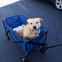 Profile Picture of Michele Witkowski (@michele-witkowski) on Quora