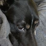 Clint Lawson - Instagram Profile Picture of Clint Lawson (@clintthesav) on Instagram