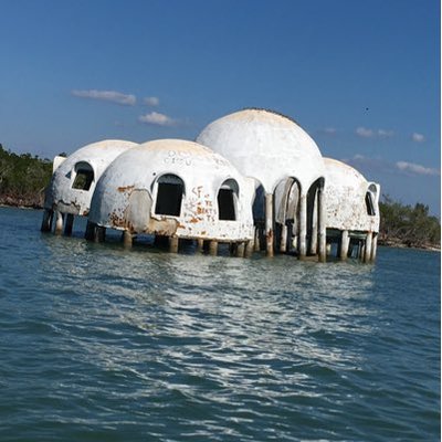 Rex - Twitter Profile Picture of Rex (@DamerowGary) on Twitter