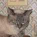 Profile Picture of Tabitha Adair (@tabitha.adair.98) on Facebook