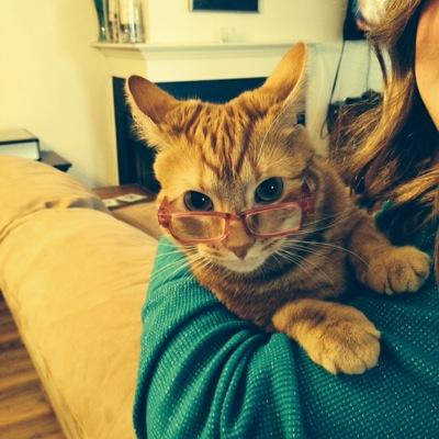 Kim Roddy - Twitter Profile Picture of Kim Roddy (@Kimmihuckaby) on Twitter