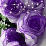 Profile Picture of Rose Colwell (@rmlcolwell) on Instagram