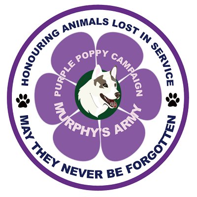 Profile Picture of Carol (@Calico_ribbon) on Twitter