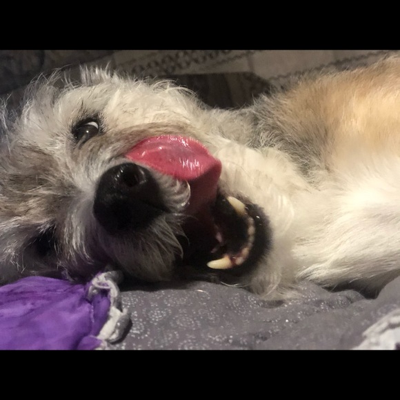 Profile Picture of Sam Haley (@shs1998) on Poshmark