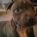 Profile Picture of Kevin Lahue (@kevin.lahue.906) on Facebook